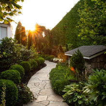front yard