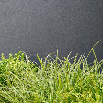Petit jardin urbain - "Onde citadine"