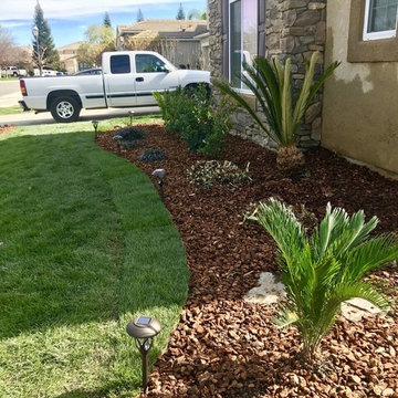 Landscaping
