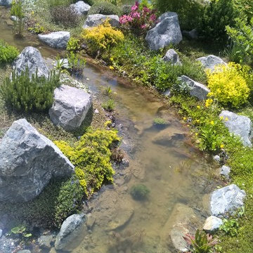 natural pond, Teichlandschaft