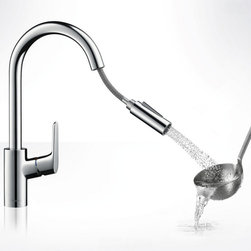 Hansgrohe Kitchen and Bath - Products