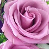 Weis Wagner's photo