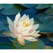 Alicia Rod's photo