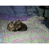 Vickie Dillon's photo