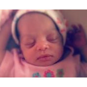 Andrea Ingold's photo