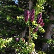 Kelly Tyndall's photo