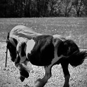 Fabienne Casagrande's photo