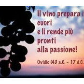 Foto von Stefano Trevisani