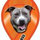 jennifer_schmidt49