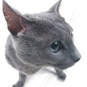 Наталья Костенкоs foto