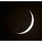 Michelle Lately's photo