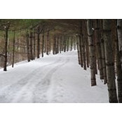 Melissa Bishop's photo