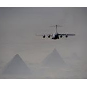 Jesse Cohen's photo