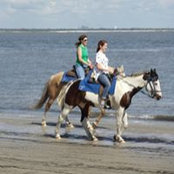 Betsy Purvis's photo
