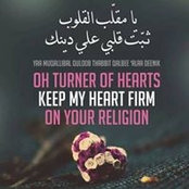 حرا طارق's photo