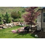 Katherine McGurran's photo