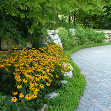 12 Lynn backyard