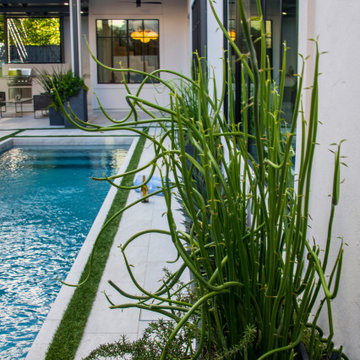 Afton Oaks Modern Swimming Pool and Landscape Design