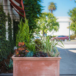 Sonos Headquarters, Santa Barbara, CA - Outdoor Products