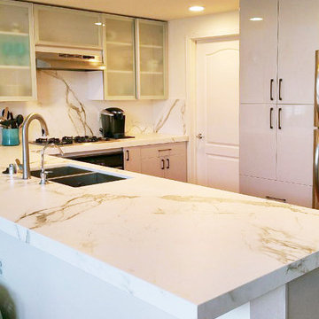 Glass Door Wall Cabinet and Chrome HG Base Cabinet