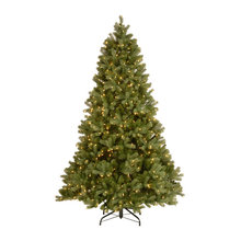 Wish List