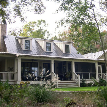 Live Oak Forest on Spring Island