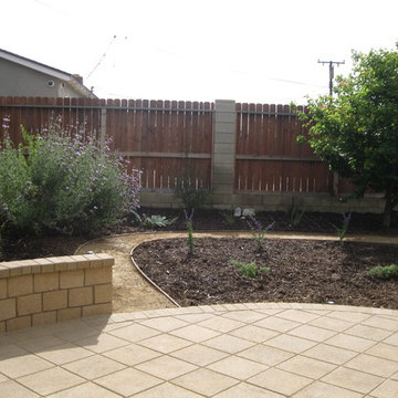 Drought Tolerant Back Yard Garden