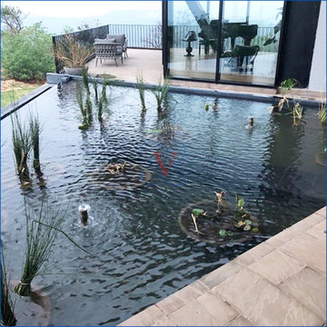 project of swimming pool, hydrotherapy and lotus pond