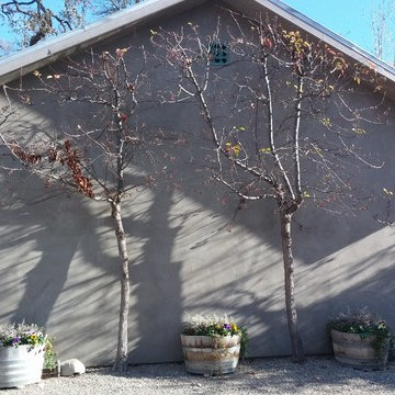 Santa Ynez Ranch