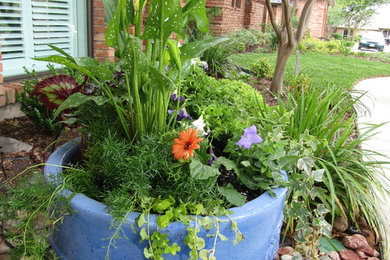 Inspiration for a landscaping in Dallas.