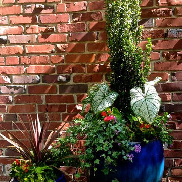 Spring Container Planting