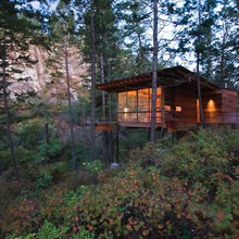 Treehouse Ideas