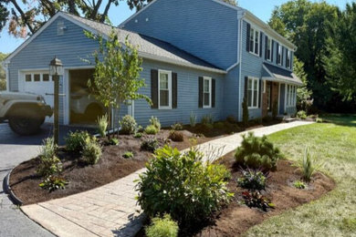 A Fresh, Vibrant Front Yard Uplift