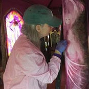 Patty Hall's photo