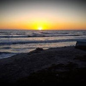 Foto von Penny Miller Wright