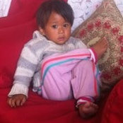 Shekhar Lama's photo