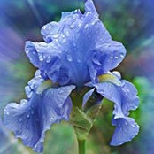 Missi Borges's photo