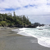 Chris F's photo