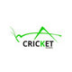 Cricket Pavers Of Miami Cricket Pavers Of Miami