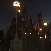 Dollie Davis's photo