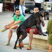 Vasos Antoniou's photo
