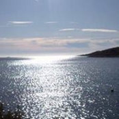Tina Peric's photo