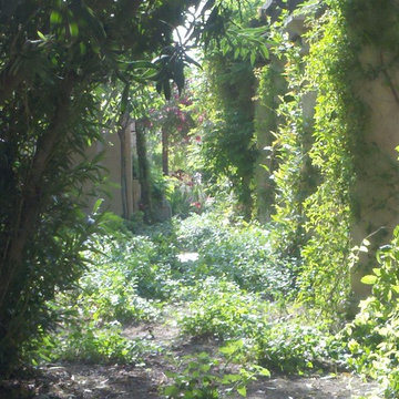 Il Segreto