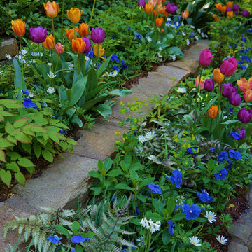 Ralph & Liz Schumacher Garden