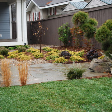 Patio and plantings, December 2014.