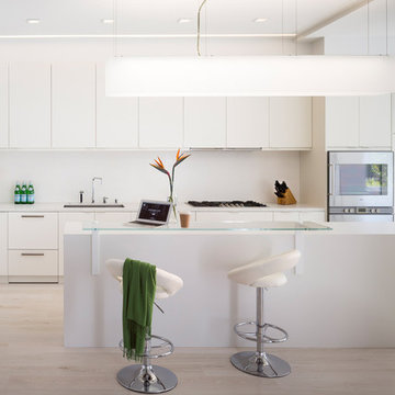 Cow Hollow White House