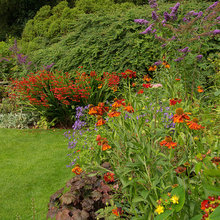 English Country Garden