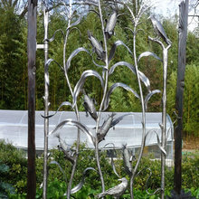 Landscaping/outdoor