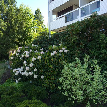 Nacka