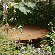 Water features